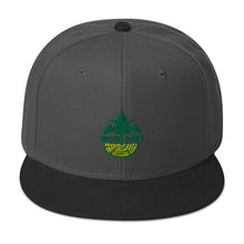 Load image into Gallery viewer, WoodBoss Snapback Hat
